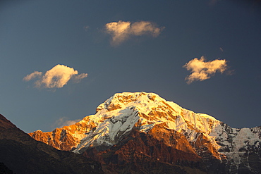 Alpenglow at sunrise on Annapurna South, Nepalese Himalayas, Nepal, Asia