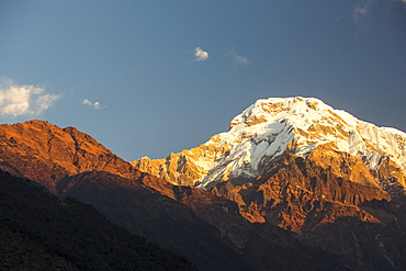 Alpenglow at sunrise on Annapurna South, Nepalese Himalayas, Nepal, Asia