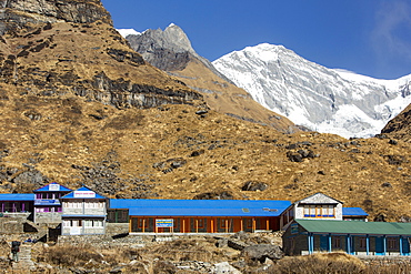 A tea house lodge on the Annapurna Base Camp trek at Machapuchare Base Camp, Himalayas, Nepal, Asia