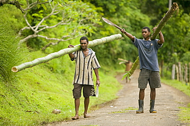 Fijian men carrying bamboo poles in Bukaya in the Fijian highlands, Fiji, Pacific