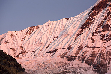 Alpenglow at sunset on Machapuchare, Annapurna Sanctuary, Nepalese Himalayas, Nepal, Asia