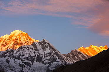 Alpenglow at sunrise on Annapurna South and Annapurna Fang, Nepalese Himalayas, Nepal, Asia