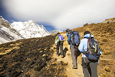 Trekkers heading towards Annapurna South with vegetation burned in the foreground, Annapurna Sanctuary, Himalayas, Nepal, Asia