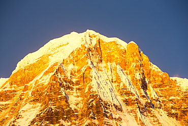 Alpenglow at sunrise on Annapurna South, Nepalese Himalayas, Nepal, Asia