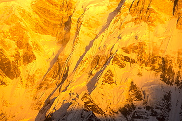 Alpenglow at sunrise on Annapurna One, Nepalese Himalayas, Nepal, Asia