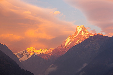 Alpenglow at sunset on Machapuchare, Annapurna Sanctuary, Nepalese Himalayas, Nepal, Asia