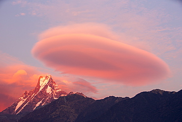 Alpenglow at sunset on Machapuchare, Annapurna Sanctuary, Nepalese Himalayas, Nepal, Asia