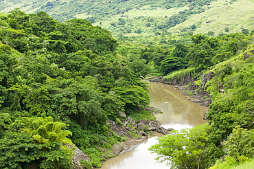 Remnants of rainforest near Bukaya in the Fijian highlands, Fiji, Pacific