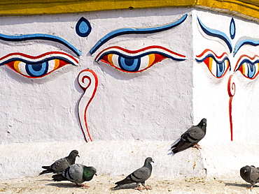 A Buddhist stupa in Kathmandu, Nepal, Asia