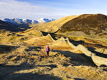 Lingmoor above Langdale, looking towards Bow Fell, Lake District National Park, Cumbria, England, United Kingdom, Europe