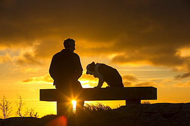 A walker and dog relaxing on Orrest Head above Windermere at sunset, Lake District, Cumbria, England, Uninted Kingdom, Europe