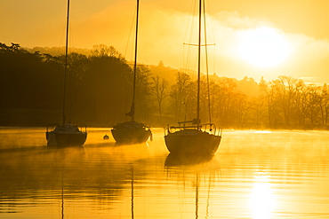 Sailing boats on Lake Windermere at sunrise with will o wisp mist, Waterhead, Ambleside, Lake District National Park, Cumbria, England, United Kingdom, Europe