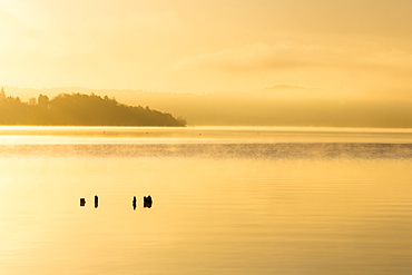 Lake Windermere at sunrise with will o wisp mist, Waterhead, Ambleside, Lake District National Park, Cumbria, England, United Kingdom, Europe