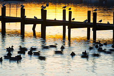 Waterhead on Lake Windermere at sunset, Ambleside, Lake District National Park, Cumbria, England, United Kingdom, Europe