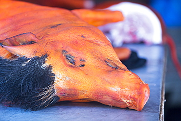 A dyed pig head on a butcher's shop slab in Kathmandu, Nepal, Asia