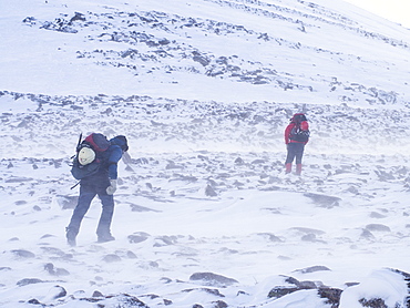 Climbers battle strong winds on Cairngorm, Scotland, United Kingdom, Europe