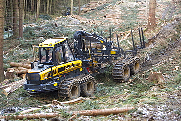 A forwarder, a specialist machine for cutting timber that is destined to be used as biofuel in a biofuel power station, Grizedale Forest, Lake District, Cumbria, England, United Kingdom, Europe