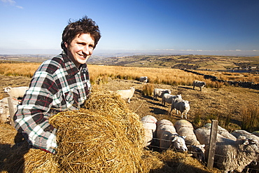 Walter Clay, a farmer feeding his sheep on Ovenden Moor near Keighley, West Yorkshire, Yorkshire, England, United Kingdom, Europe