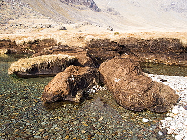 Huge chunks of peat eroded from the side of the Upper Esk by extreme flooding in the Lake District, Cumbria, England, United Kingdom, Europe