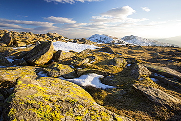 Lichen covered rocks on Swirl Howe above Wrynose, looking towards Dow Crag and Coniston Old Man, Lake District National Park, Cumbria, England, United Kingdom, Europe