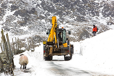 A JCB tries to clear a way through massive snow drifts blocking the Kirkstone Pass road above Ambleside in the Lake District, Cumbria, England, United Kingdom, Europe