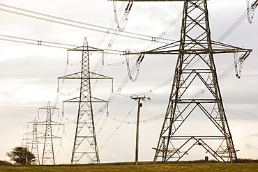 Electricity pylons leaving Wylfa nuclear power station on Anglesey, Wales, United Kingdom, Europe