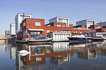 Houses in Almere next to canal, Flevoland, Netherlands, Europe