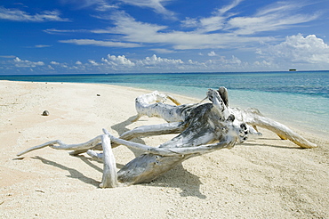 Funafuti atoll, Tuvalu, Pacific