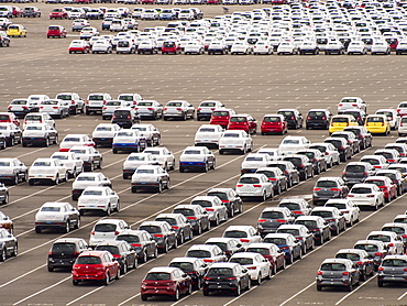 Cars ready for export at the Port of Tyne at North Shields near Newcastle, England, United Kingdom, Europe