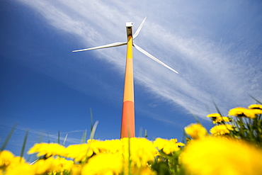 Colourful wind turbines in polders, reclaimed land near Almere, Flevoland, Netherlands, Europe