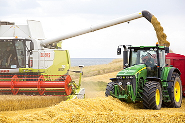 A farmer harvesting wheat on a farm near Barmston, East Coast, Yorkshire, UK.