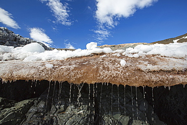 Melting ice and snow at on Joinville Island just off the Antarctic Peninsular. The peninsular is one of the fastest warming places on the planet.