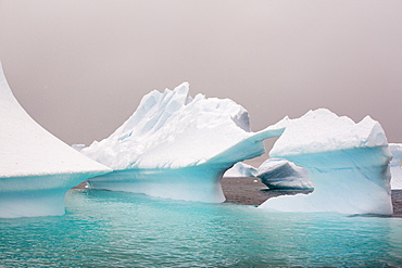 Icebergs oof Curverville Island on the Antarctic Peninsular, which is one of the fastest warming places on the planet.