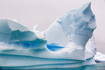 Icebergs oof Curverville Island on the Antarctic Peninsular, which is one of the fastest warming places on the planet.