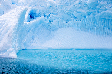 Icebergs oof Curverville Island on the Antarctic Peninsular, which is one of the fastest warming places on the planet.