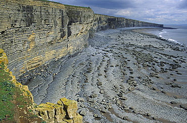 Sedimentary cliffs and Nash Point, Heritage Coast, Vale of Glamorgan, Wales, UK