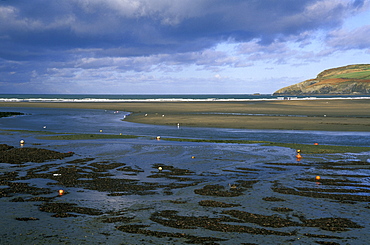 Low tide, Newport Beach, Newport, Pembrokeshire, Wales, UK, Europe