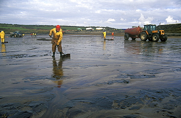 Oil clean up, West Angle Bay, Sea Empress oil spill