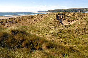 Ynyslas dunes, National Nature Reserve, Ceredigion, Wales, UK, Europe