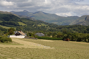 Working farm, mid Wales near Barmouth