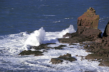 Tower Point, St Brides, Pembrokeshire, Wales, UK, Europe     (rr)