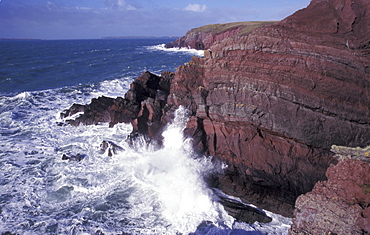 Old Red Sandstone seacliffs, St. Anne's Head, Pembrokeshire Coast National Park, West Wales, UK