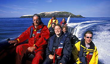 Dale Sea Safari wildlife boat trip, Grassholm, West Wales, UK     (rr)