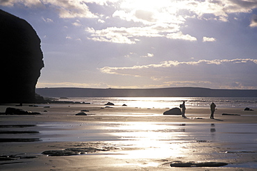 People walking on beach at low tide, Druidston Haven, Pembrokeshire, Wales, UK, Europe