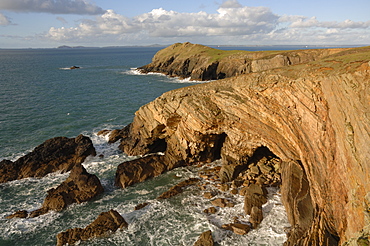 Deer Park, Martins Haven, Pembrokeshire, Wales, UK, Europe