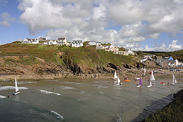 Little Haven Summer Regatta, Pembrokeshire, Wales, UK, Europe