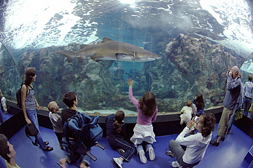 Oceanopolis, Brest, Britanny, France, EU     (rr)