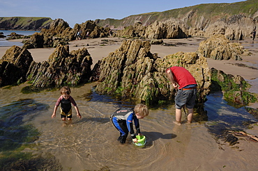 Rockpooling, Marloes Sands, Pembrokeshire, Wales, UK