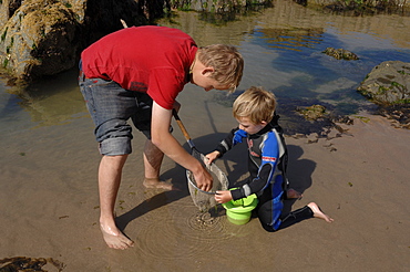 Rockpooling, Marloes Sands, Pembrokeshire, Wales, UK