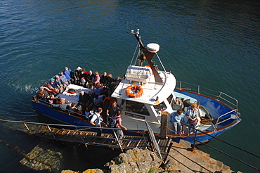 Tourists boarding the Dale Princess at Martins Haven, Martins Haven, Pembrokeshire, Wales, UK, Europe